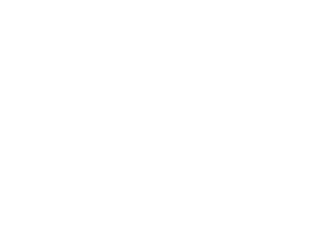 Reason Consulting